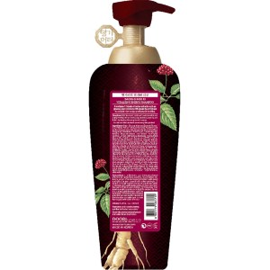 Состав Daeng Gi Meo Ri Vitalizing Energy Shampoo 500 ml